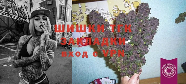 гидропоника Алзамай