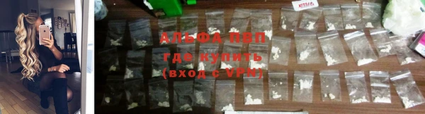 гидропоника Алзамай