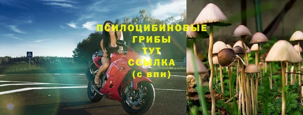 spice Абаза