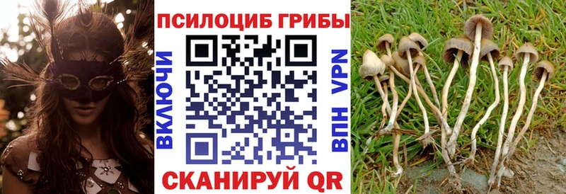 Псилоцибиновые грибы прущие грибы  продажа наркотиков  OMG рабочий сайт  Богородск 