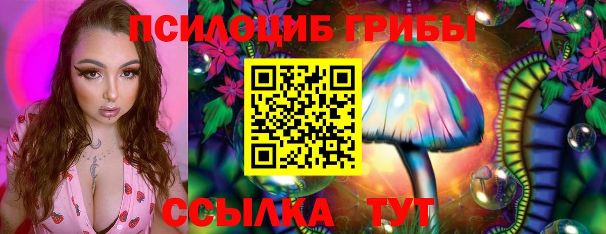 закладки  Вход с VPN  Галлюциногенные грибы прущие грибы  Богородск  Псилоцибиновые грибы ЛСД 