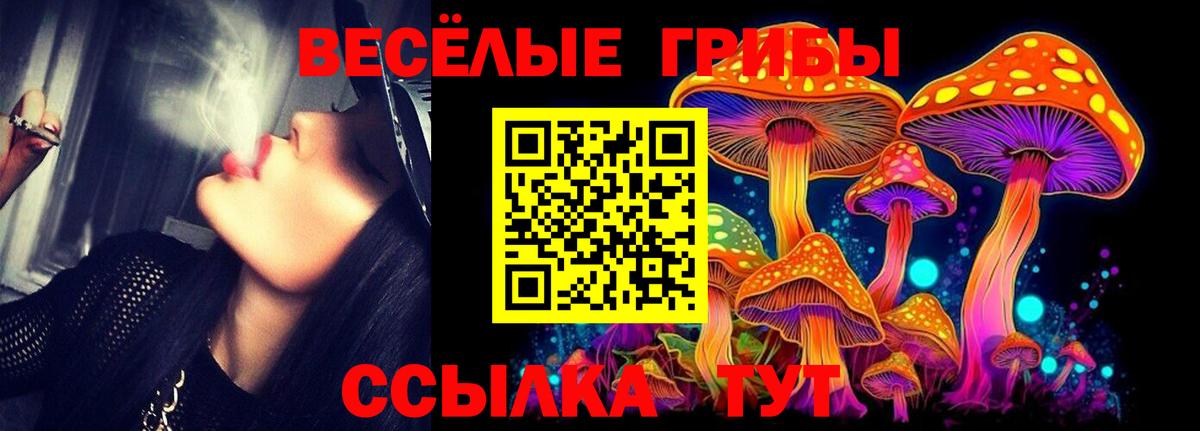 Галлюциногенные грибы Cubensis Богородск